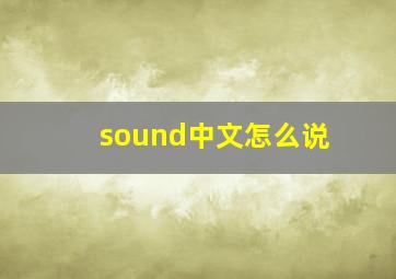 sound中文怎么说