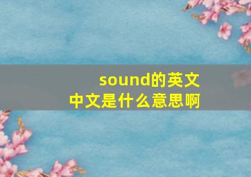 sound的英文中文是什么意思啊