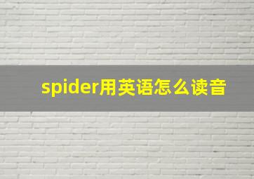 spider用英语怎么读音