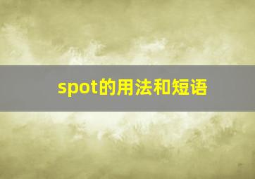 spot的用法和短语