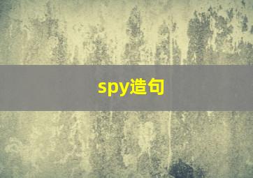 spy造句