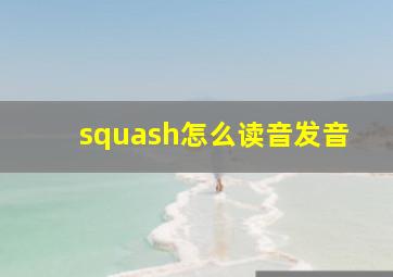 squash怎么读音发音