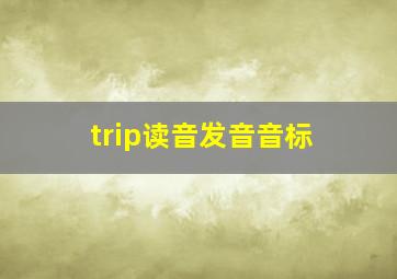 trip读音发音音标