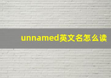 unnamed英文名怎么读