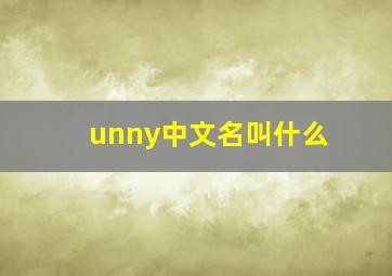 unny中文名叫什么