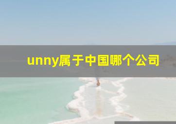 unny属于中国哪个公司