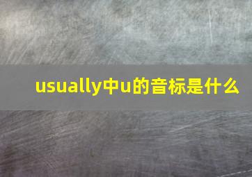 usually中u的音标是什么