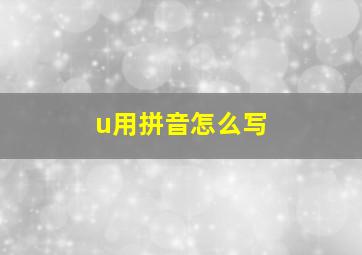 u用拼音怎么写