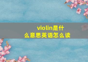 violin是什么意思英语怎么读