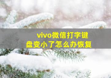 vivo微信打字键盘变小了怎么办恢复