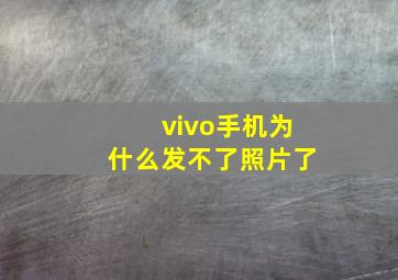 vivo手机为什么发不了照片了