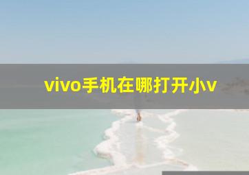 vivo手机在哪打开小v