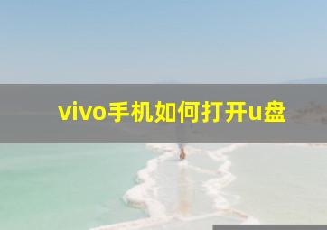 vivo手机如何打开u盘