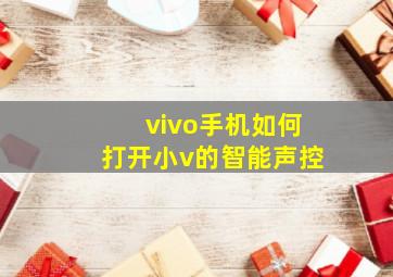 vivo手机如何打开小v的智能声控