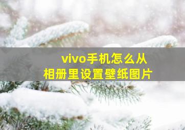 vivo手机怎么从相册里设置壁纸图片