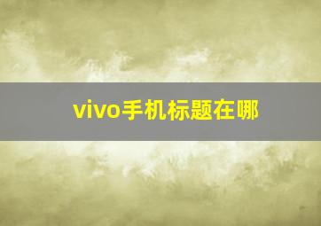 vivo手机标题在哪