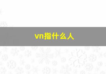 vn指什么人