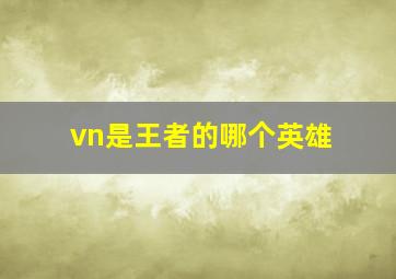 vn是王者的哪个英雄