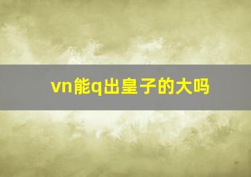 vn能q出皇子的大吗