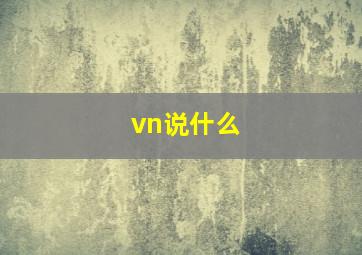 vn说什么