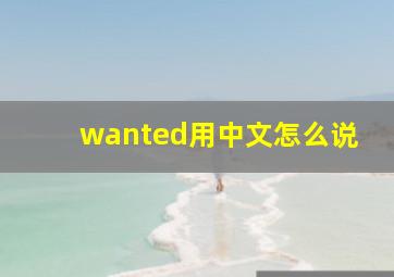 wanted用中文怎么说