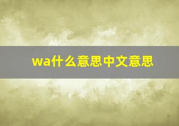 wa什么意思中文意思