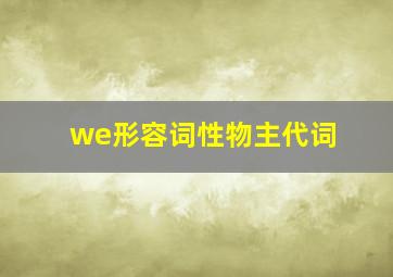 we形容词性物主代词