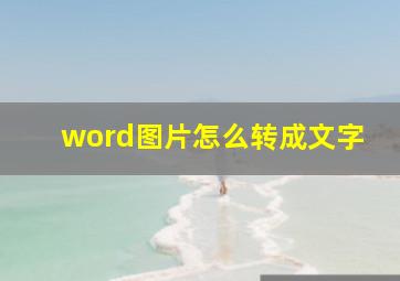 word图片怎么转成文字