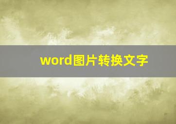 word图片转换文字