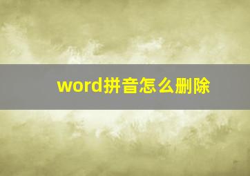 word拼音怎么删除