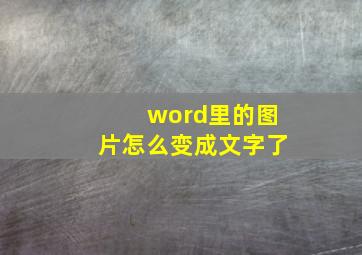 word里的图片怎么变成文字了