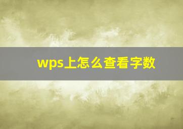 wps上怎么查看字数