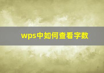 wps中如何查看字数