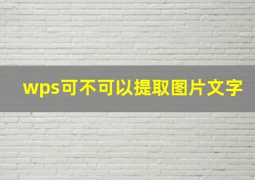 wps可不可以提取图片文字