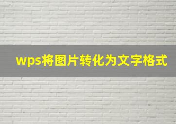 wps将图片转化为文字格式