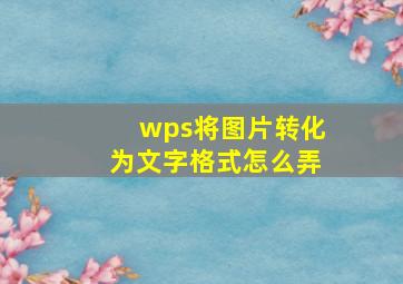 wps将图片转化为文字格式怎么弄