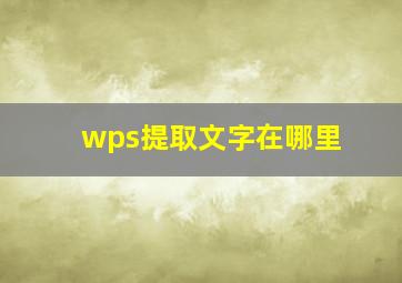 wps提取文字在哪里