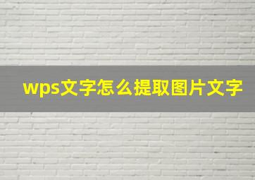 wps文字怎么提取图片文字