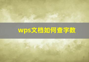 wps文档如何查字数