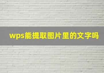 wps能提取图片里的文字吗