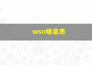 wsn啥意思