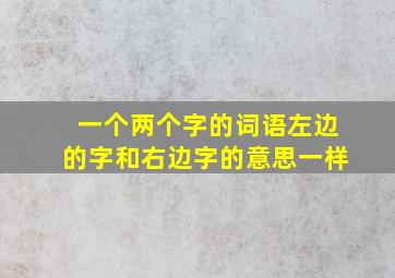 一个两个字的词语左边的字和右边字的意思一样