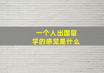 一个人出国留学的感觉是什么