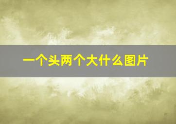 一个头两个大什么图片