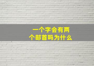 一个字会有两个部首吗为什么