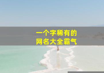 一个字稀有的网名大全霸气