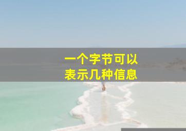 一个字节可以表示几种信息