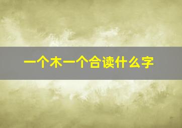 一个木一个合读什么字