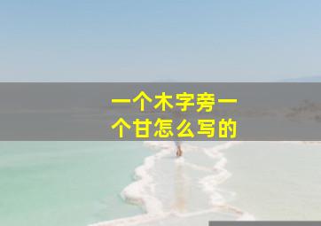 一个木字旁一个甘怎么写的