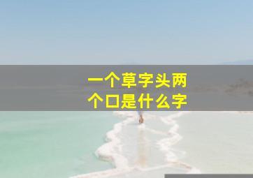 一个草字头两个口是什么字